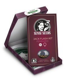 SS1560004 - SENSI SEEDS BANK - JACK FLASH #5 FEM | 10 SEMI