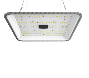 ORTOLED-90-FC-60W - ORTOLED - QUANTUM FULL CYCLE 60W 2.7 | 60W SAMSUNG