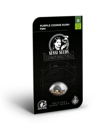 SS1530042 - SENSI SEEDS RESEARCH - PURPLE COOKIES KUSH FEM | 10 SEMI