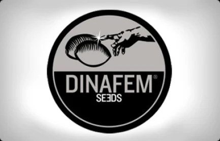 DF3143 - AMNESIA CBD 5 SEMI FEMM DINAFEM