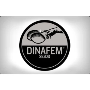 DF3143 - AMNESIA CBD 5 SEMI FEMM DINAFEM