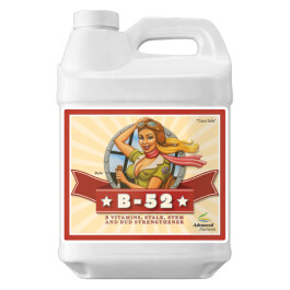 2100-13 - ADVANCED NUTRIENTS - B-52 | 500ml