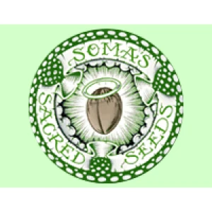 SSO03F9002 - SO G KUSH 3 SEMILLAS FEMM SOMA SEEDS