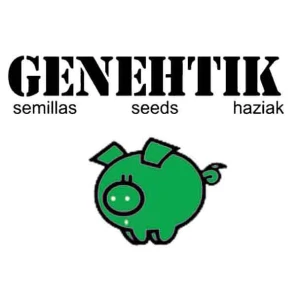 GNTK001101A - GENEHTIK SEEDS - ESE T. BILBO AUTOFLOWERING FEM | 1 SAMEN