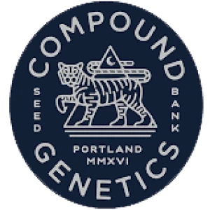 CPG005F003 - COMPOUND GENETICS - LA BOMBA FEM | 5 SEMI