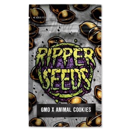 RSGACF03F9061 - RIPPER SEEDS - GMO X ANIMAL COOKIES FEM | 3 SEMI