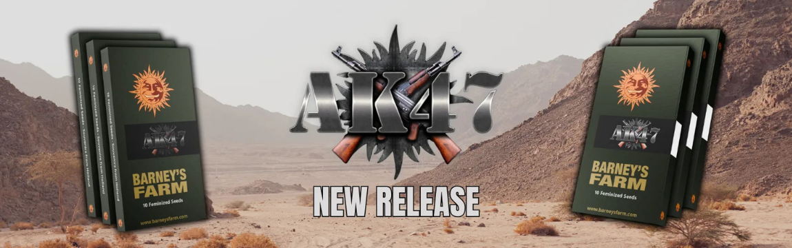 BF_Ak_47_fem_banner_1150x360