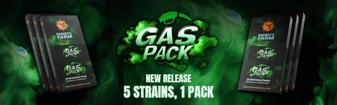 BF_Gas_pack_fem_banner_1150x360