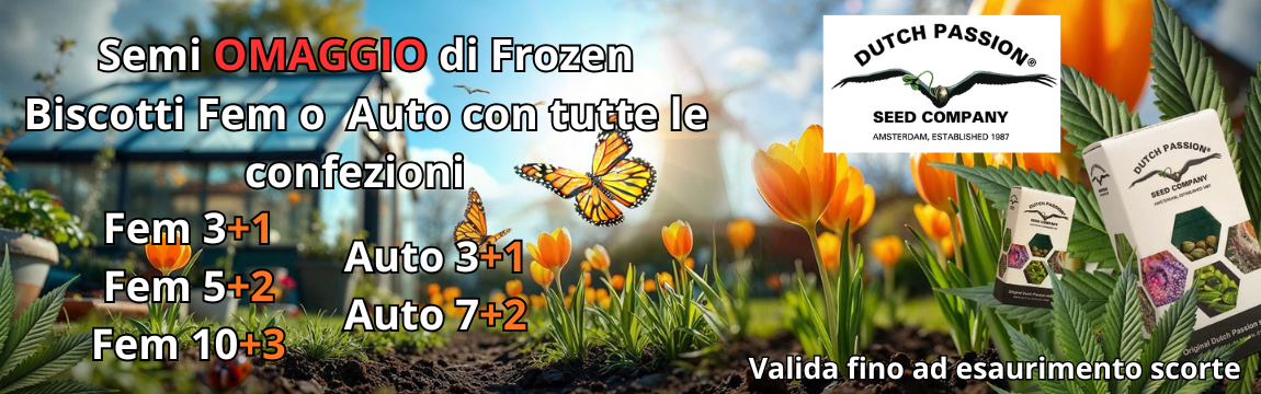 DP_frozen_biscotti_omaggio_banner_1150x360