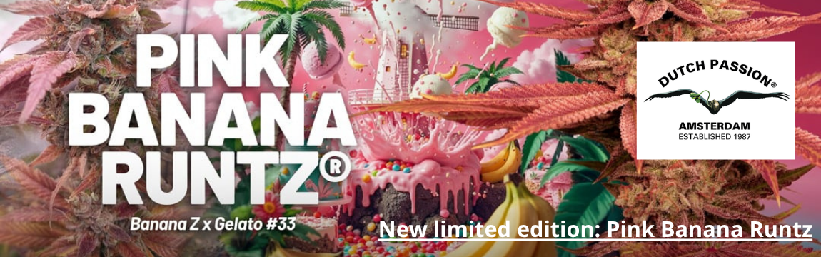 DP_pink_banana_runtz_fem_banner_1150x360