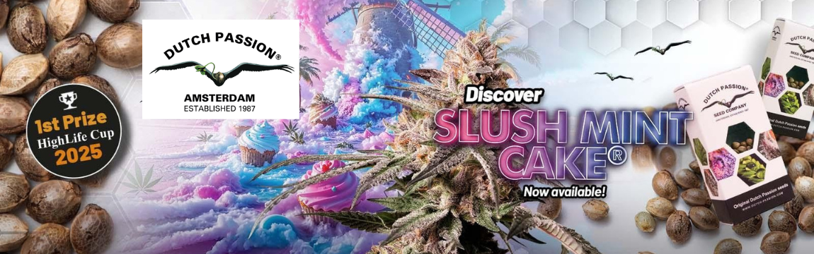 DP_slush_mint_cake_banner_1150x360