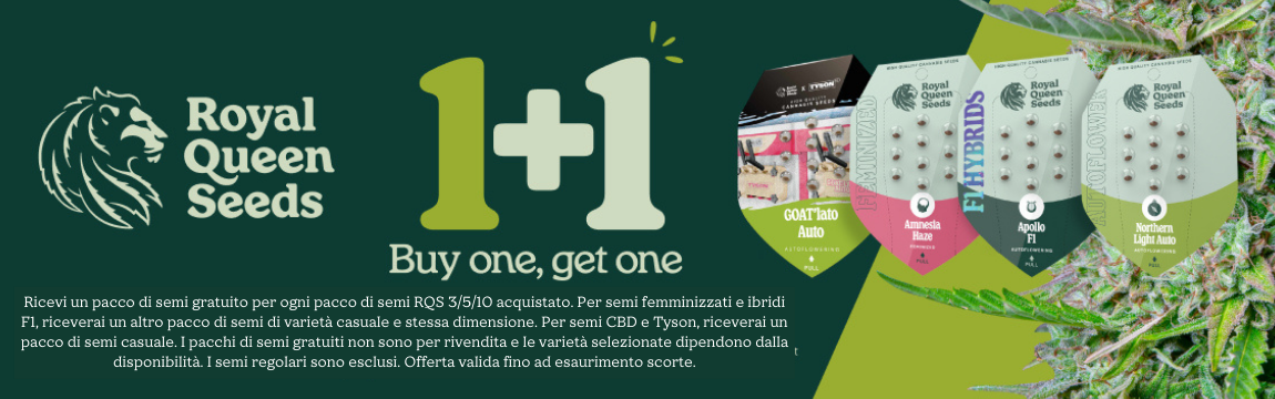 RQS_promo1+1_banner_It_1150x360_Indoorline