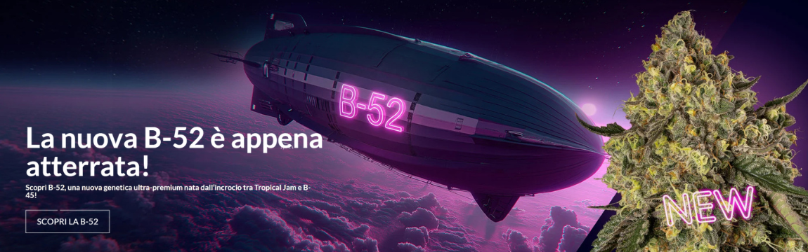 SILS_B52_Fem_banner_1150x360