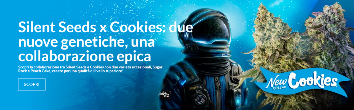 SILS_Cookies_banner_new_strain_1150x360
