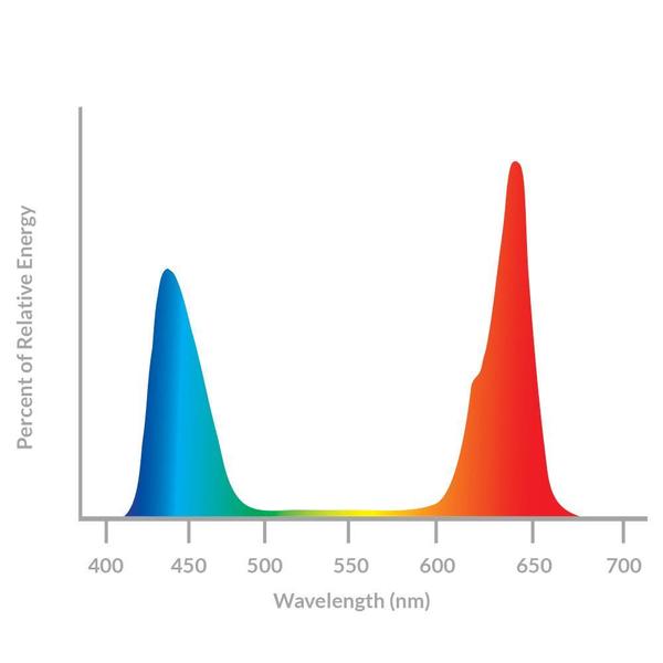 California Lightworks Solar Controller sistema controllo LED