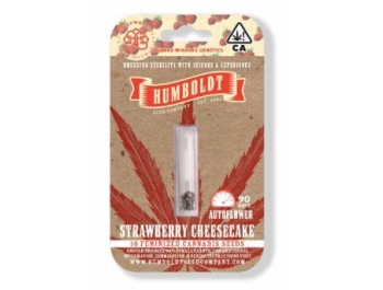 HUMBOLDT SAMEN FIRMA - ERDBEERE KÄSEKUCHEN AUTO