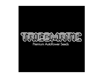 TRICOMATIC - BLACKBERRY PUNCH AUTO