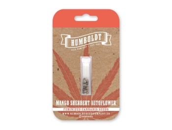 HUMBOLDT SEEDS COMPANY - MANGO SHERBET AUTO