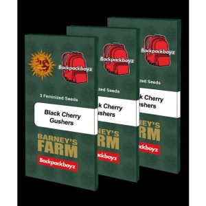 BARNEY'S FARM - BLACK CHERRY GUSHERS FEM