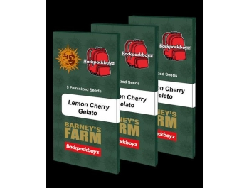 BARNEY'S FARM - LEMON CHERRY GELATO FEM