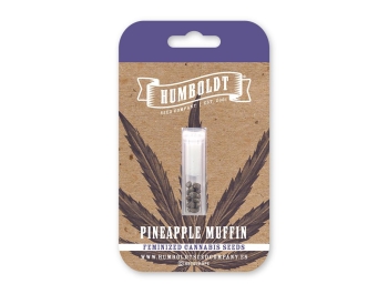 HUMBOLDT SEEDS COMPANY - ANANAS MUFFIN FEM