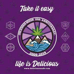 GRAINES DÉLICIEUSES - CHOCOBANG FEM