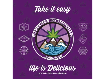 GRAINES DÉLICIEUSES - CHOCOBANG FEM