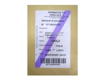 SEMI DI CANAPA VARIETA' FINOLA SELEZIONE CE