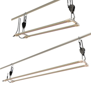 GEHEIMNIS JARDIN - TNOLED BLÜHEND