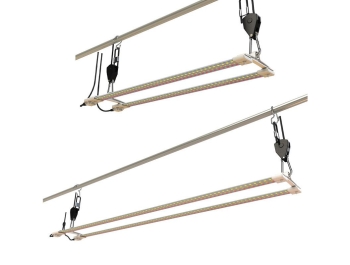 SECRET JARDIN - TNOLED BLOOMING