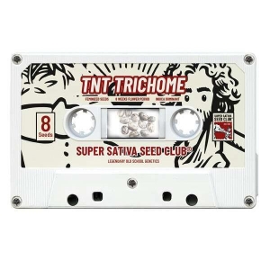 SUPER SATIVA SEED CLUB - TNT TRICHOME FEM