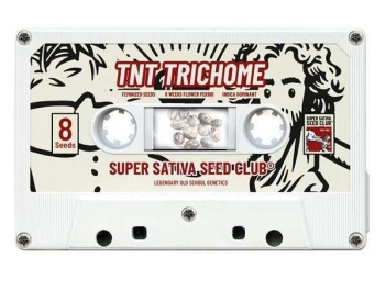 SUPER SATIVA SEED CLUB - TNT TRICHOME FEM