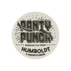 SEEDSTOCKERS - PANTY PUNCH FEM (SUPERIOR)