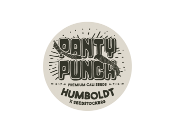 SEEDSTOCKERS - PANTY PUNCH FEM (SUPERIOR)