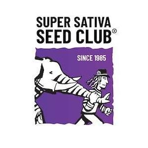 SUPER SATIVA SEED CLUB - STRAWBERRY COOKIES FEM