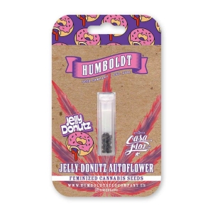 HUMBOLDT SAMEN UNTERNEHMEN - JELLY DONUTZ AUTO