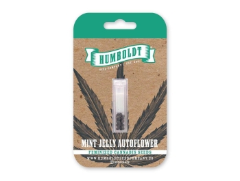 HUMBOLDT SEEDS COMPANY - MINT JELLY AUTO