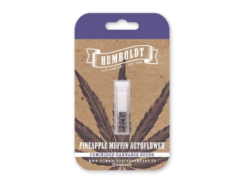 HUMBOLDT SAMEN FIRMA - ANANAS MUFFIN AUTO