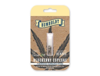 HUMBOLDT SEEDS COMPANY - BLUEBERRY CUPCAKE FEM