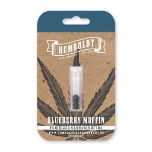 HUMBOLDT SEEDS COMPANY - BLUEBERRY MUFFIN FEM