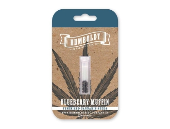 HUMBOLDT SEEDS COMPANY - BLUEBERRY MUFFIN FEM