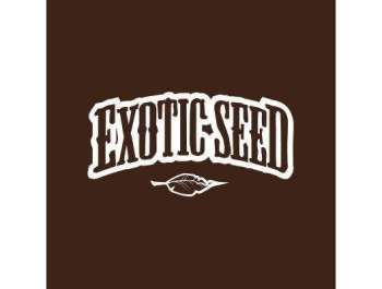 EXOTIC SEED - SPICY BITCH FEM