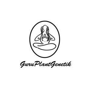 GURU PLANT GENETIK - CHANTY FEM