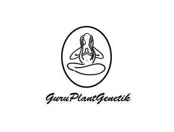 GURU PLANT GENETIK - CHANTY FEM