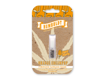 HUMBOLDT SEEDS COMPANY - ORANGE CREAMPOP FEM