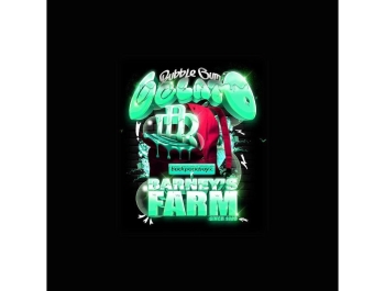 BARNEY'S FARM - BUBBLEGUM GELATO FEM