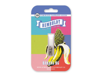 HUMBOLDT SEEDS COMPANY - BANANA OG FEM