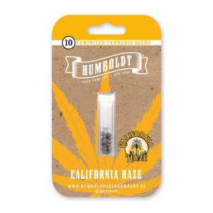 HUMBOLDT SEEDS COMPANY - CALIFORNIA HAZE FEM
