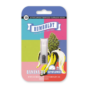 HUMBOLDT SEEDS COMPANY - BANANA OG AUTO