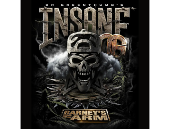 BARNEY'S FARM - INSANE OG FEM